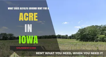 Iowa Alfalfa Ground Rent: Understanding Acreage Costs and Trends