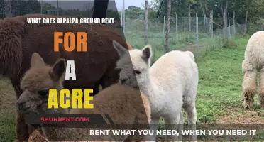 Understanding Alpaca Ground Rent: Costs Per Acre Explained