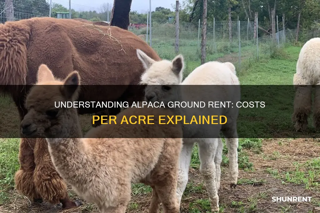 what does alpalpa ground rent for a acre