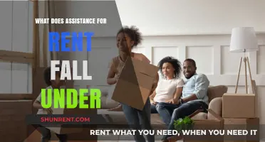 Understanding Rent Assistance: What Category Does It Fall Under?