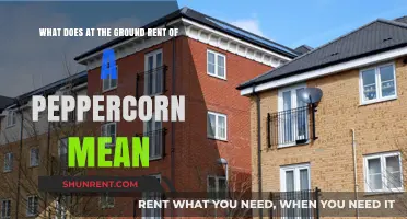 Understanding the Symbolic Ground Rent of a Peppercorn: What It Means