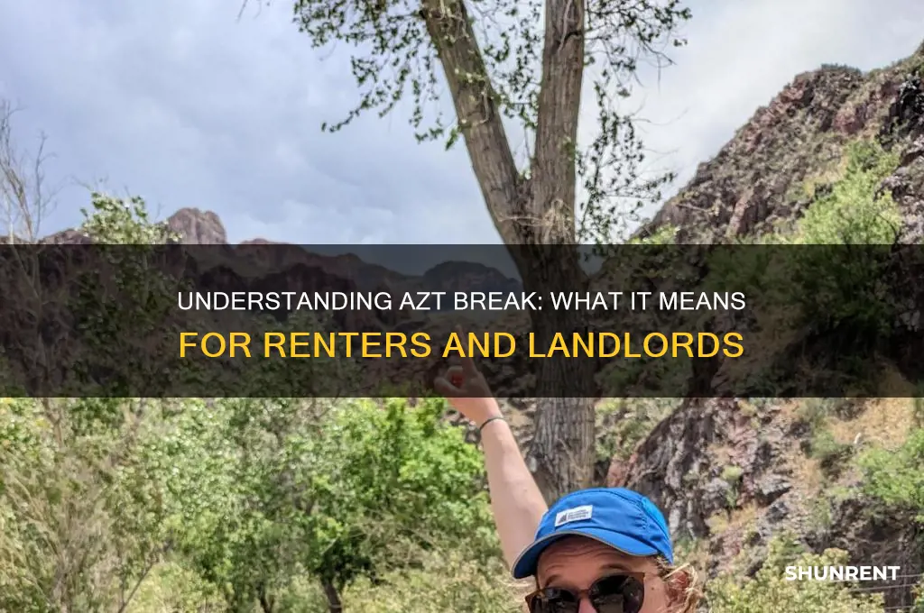 what does azt break mean in rent