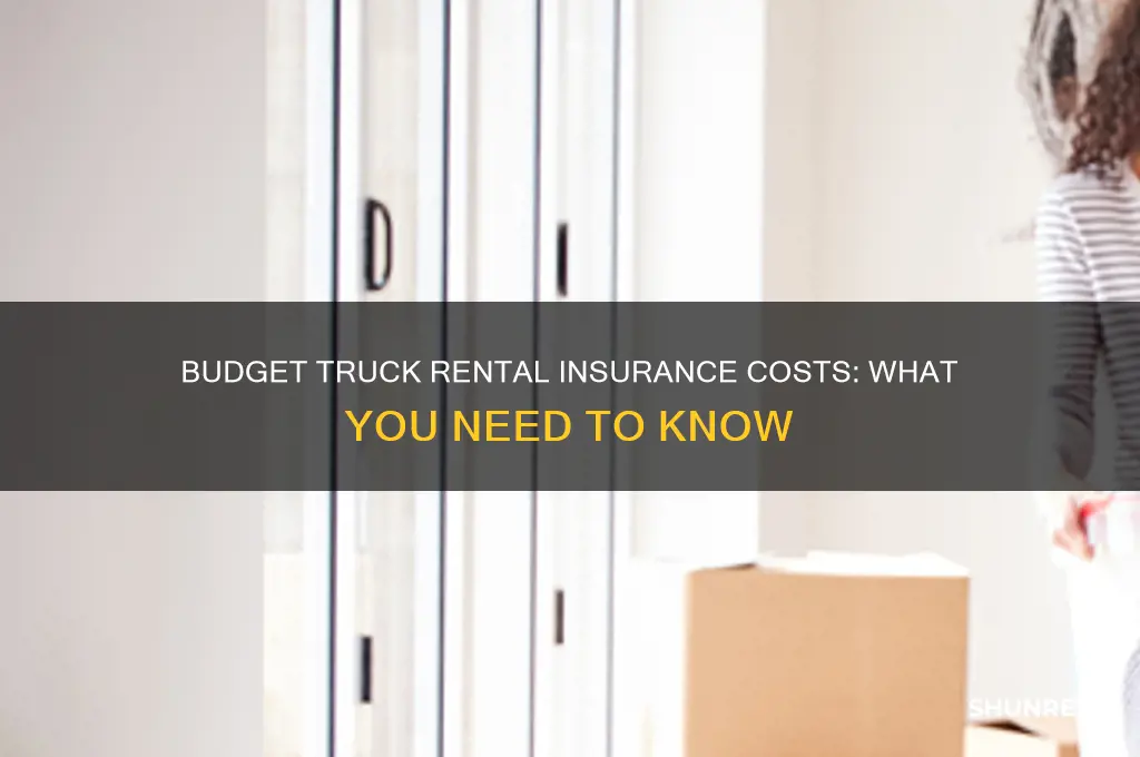 what does budget rent a truck charge for insurance