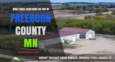 Freeborn County MN Cash Rent Rates: What Landowners Should Know