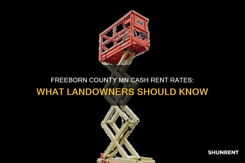 what does cash rent go for in freeborn county mn