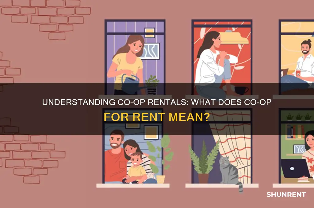 what does co-op for rent mean