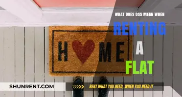 Understanding DSS: What It Means When Renting a Flat in the UK
