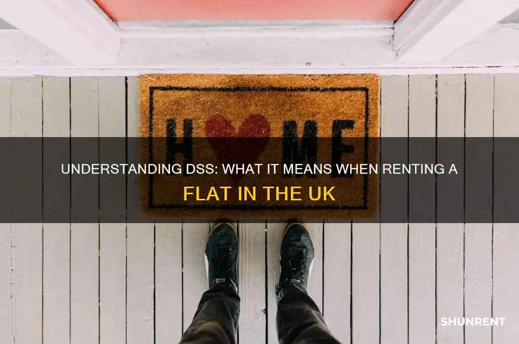 what does dss mean when renting a flat