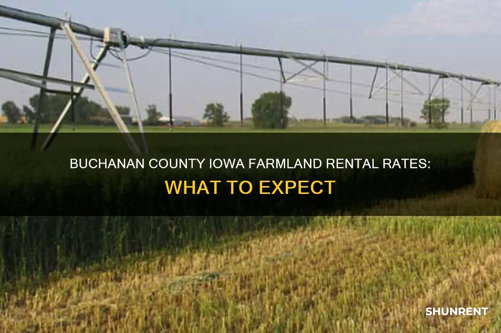 what does farm land rent for in buchanan co iowa