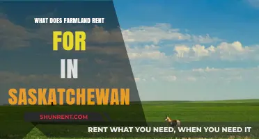 Saskatchewan Farmland Rental Rates: Understanding Current Market Trends