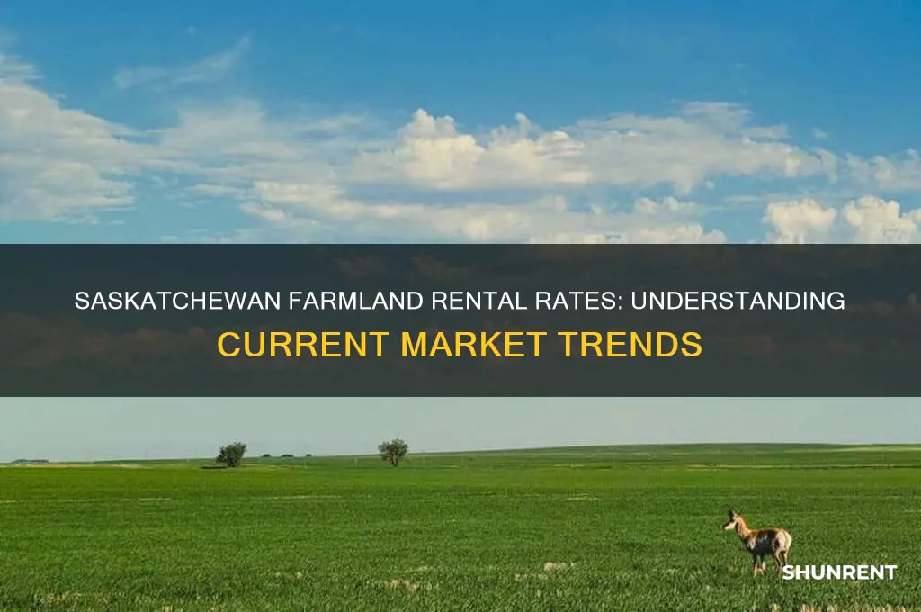 what does farmland rent for in saskatchewan