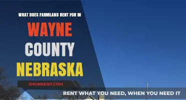 Farmland Rental Rates in Wayne County, Nebraska: What to Expect