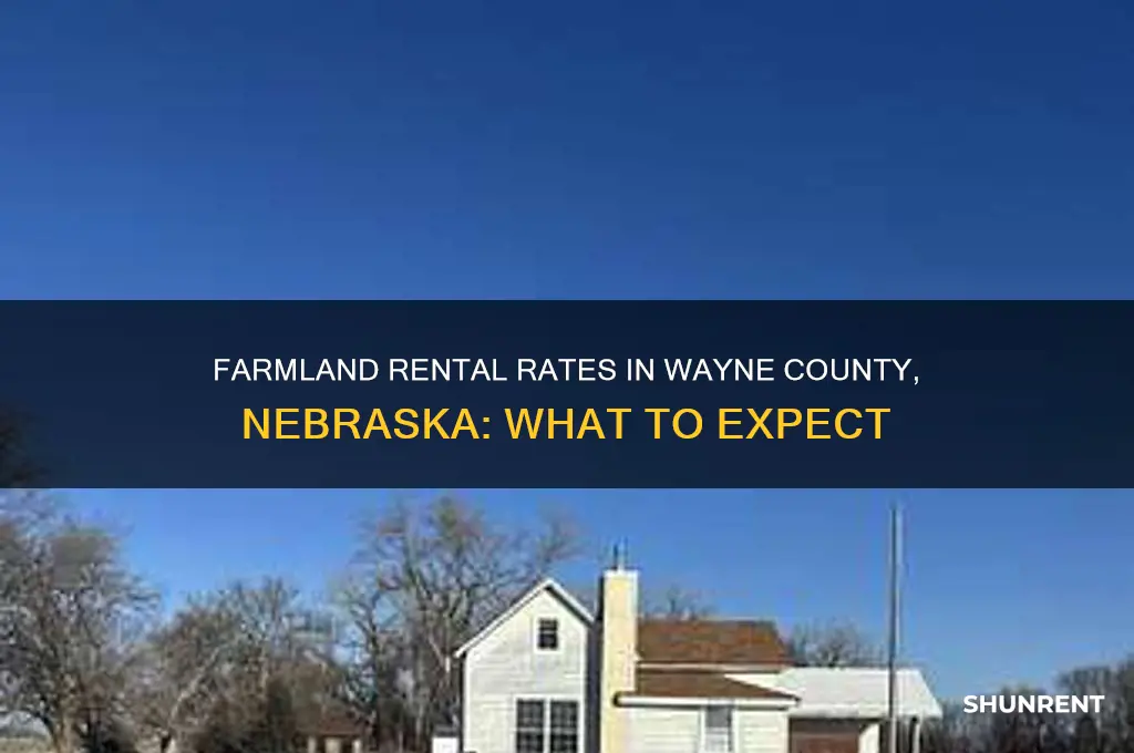what does farmland rent for in wayne county nebraska