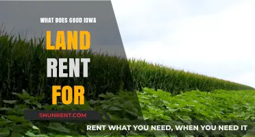 Understanding Iowa Land Rent: What Makes a Good Rate?