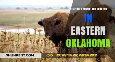 Eastern Oklahoma Grassland Rental Rates: What Landowners Should Know