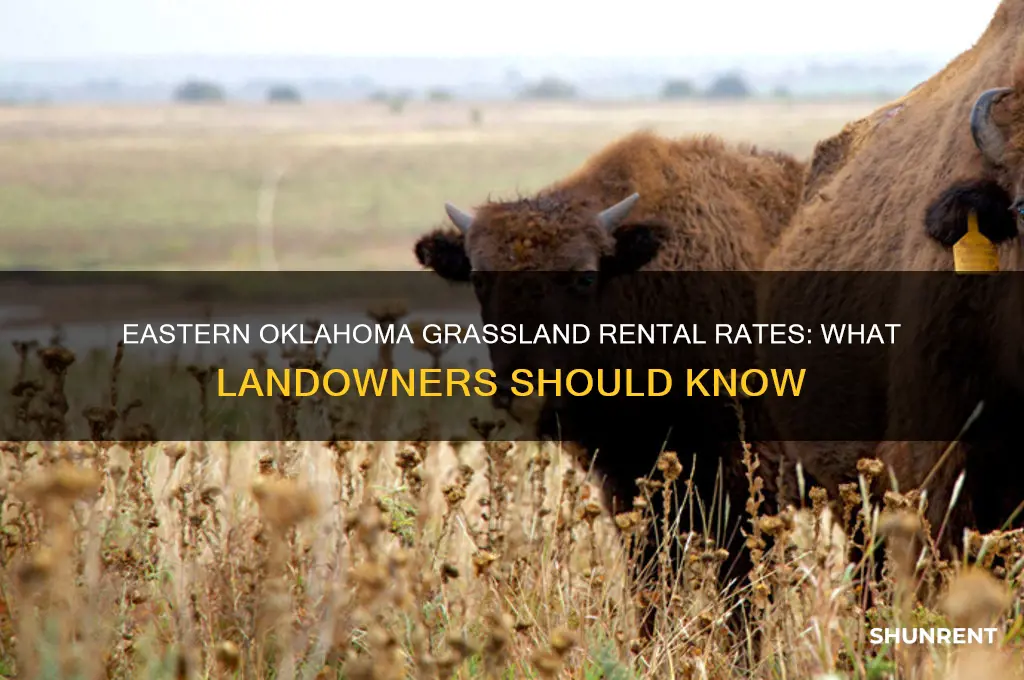 what does grass land rent for in eastern oklahoma