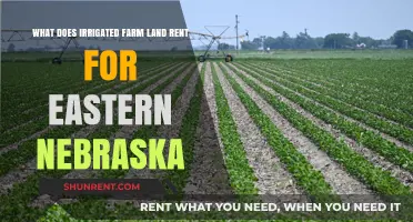 Eastern Nebraska Irrigated Farmland Rental Rates: What to Expect