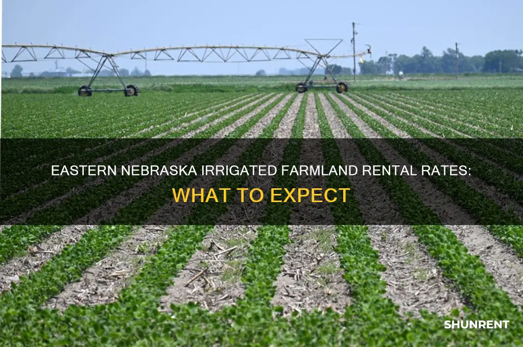 what does irrigated farm land rent for eastern nebraska