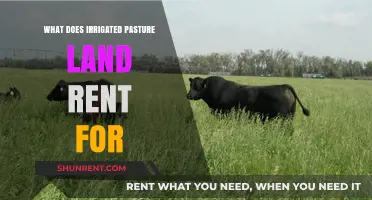 Irrigated Pasture Land Rental Rates: Understanding Costs and Factors