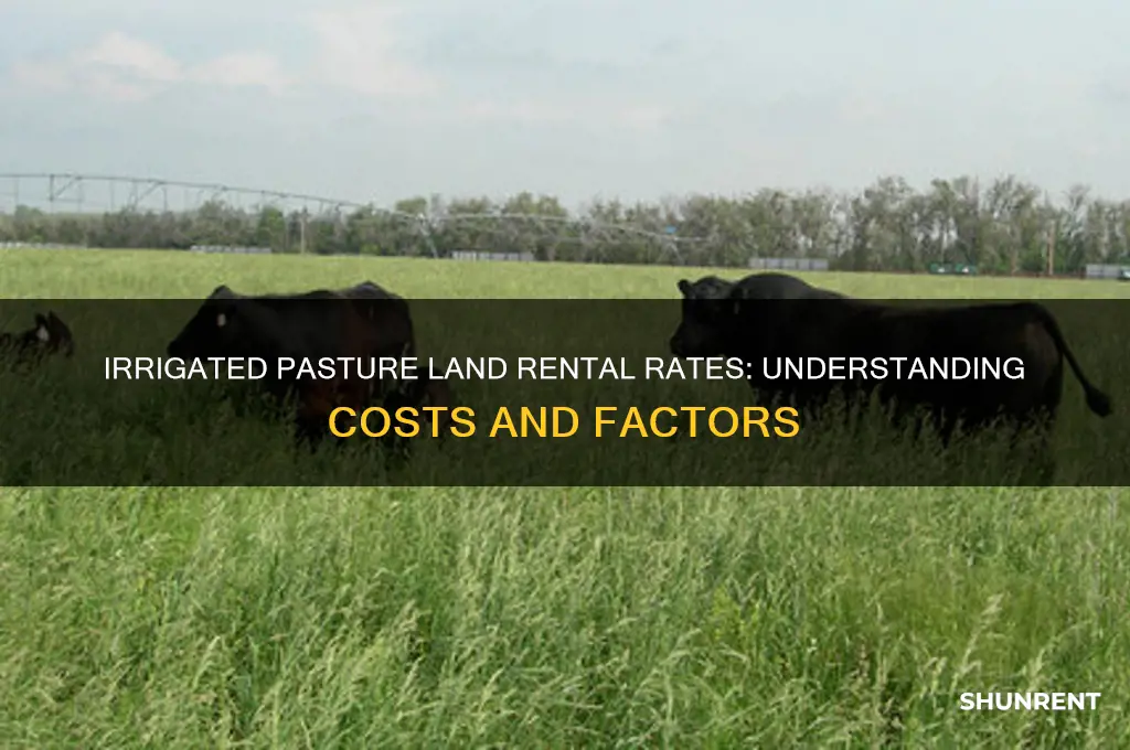 what does irrigated pasture land rent for