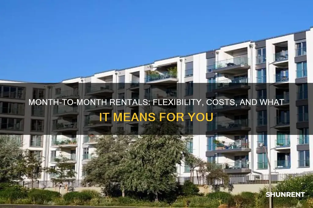 what does it mean if you rent month to month