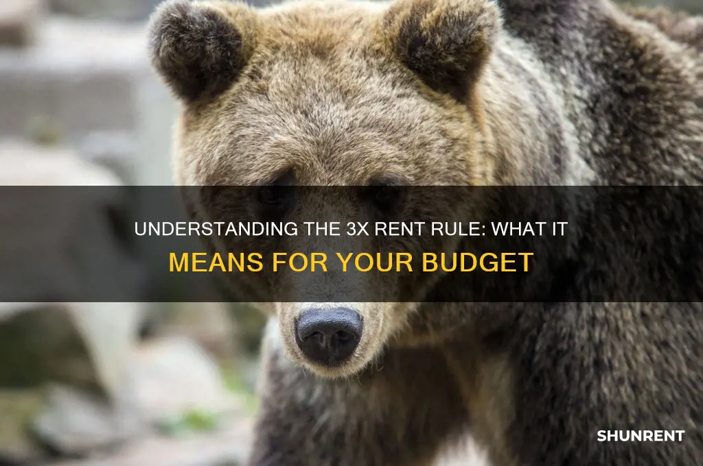 what does it mean to have 3x the rent