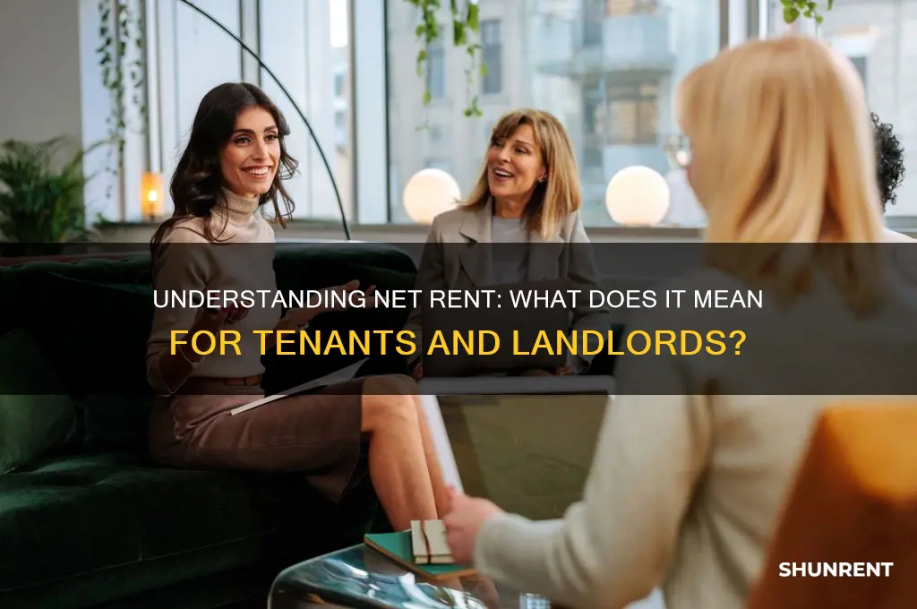 what does it mean when rent is net price