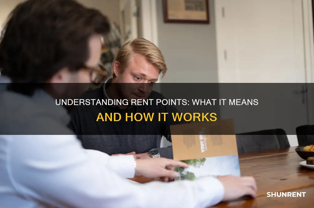 what does it mean when you rent points