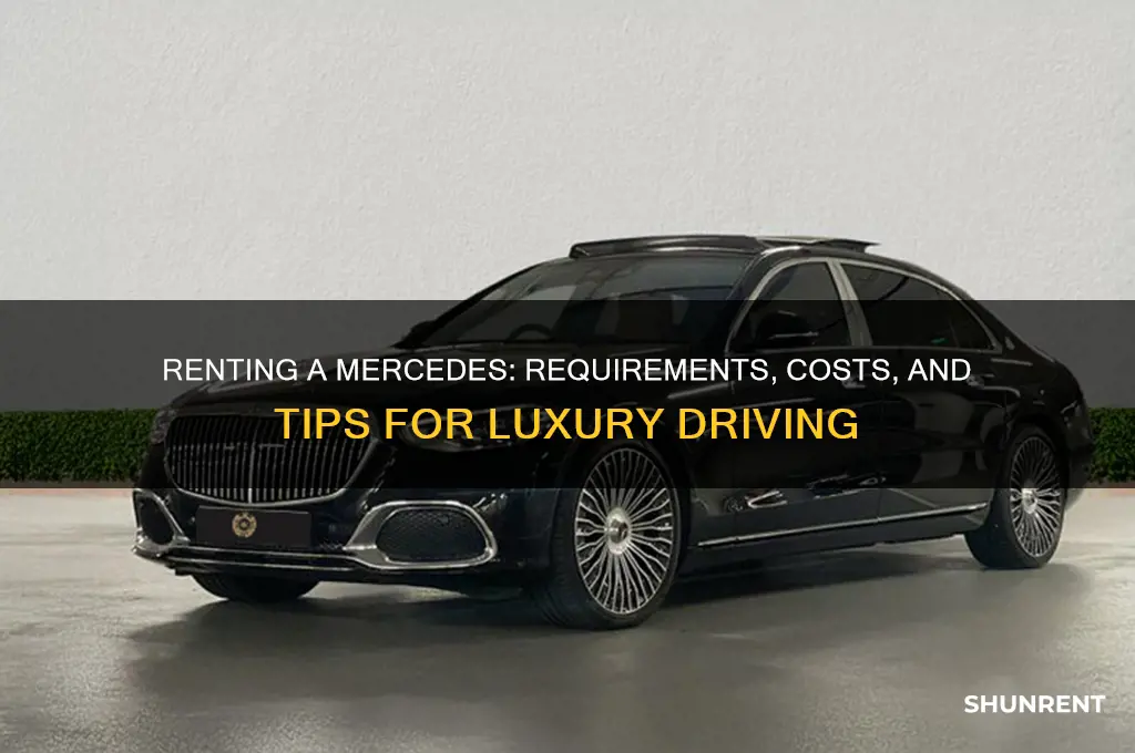 what does it take to rent a mercedes