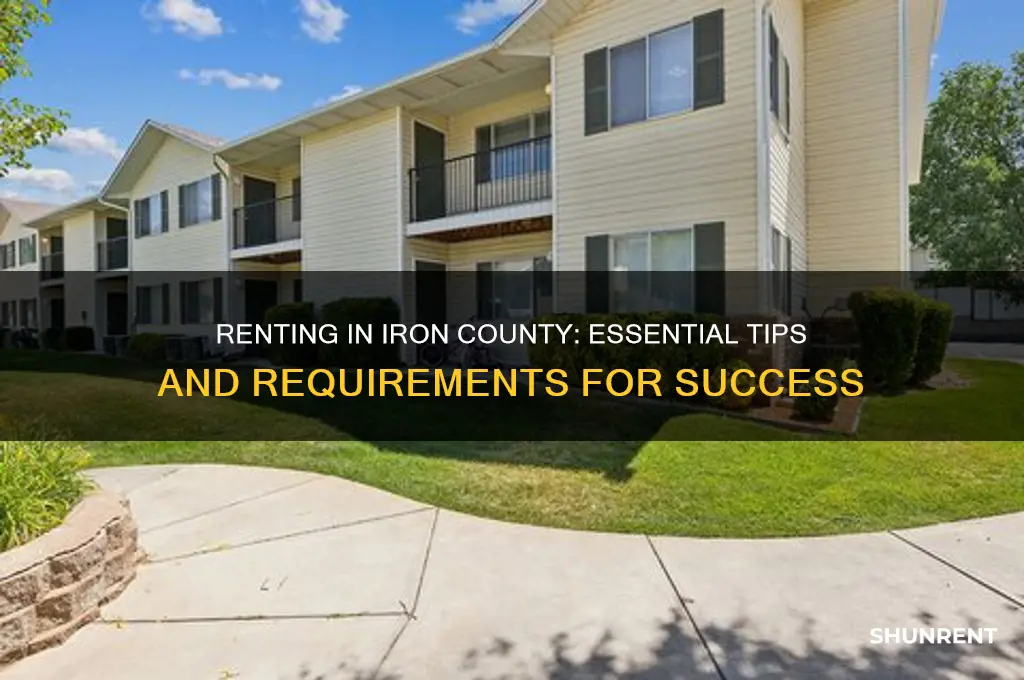 what does it take to rent in iron county