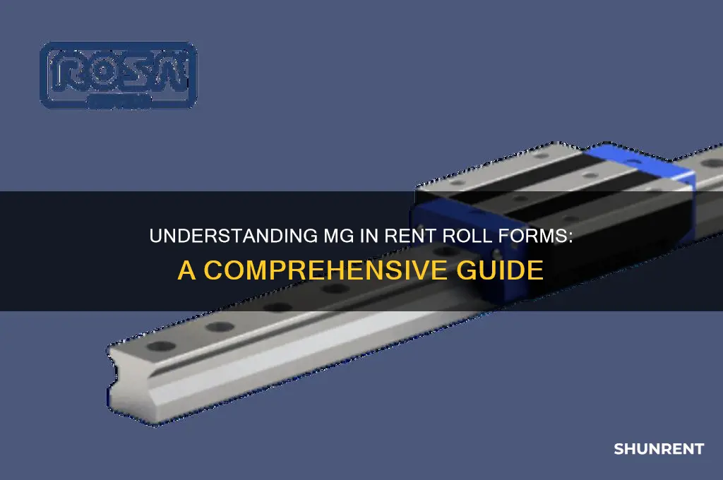 what does mg mean in a rent roll form