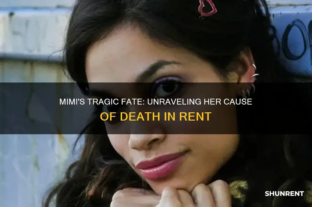 what does mimi die from in rent