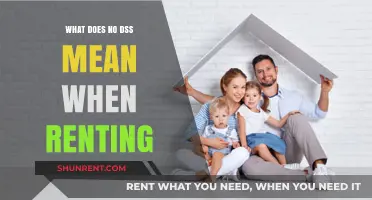 Understanding 'No DSS' in Rental Ads: What It Means for Tenants