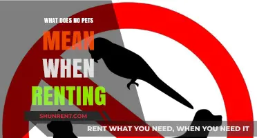Understanding 'No Pets' Policies in Rental Agreements: What Tenants Need to Know