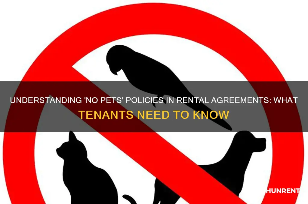 what does no pets mean when renting
