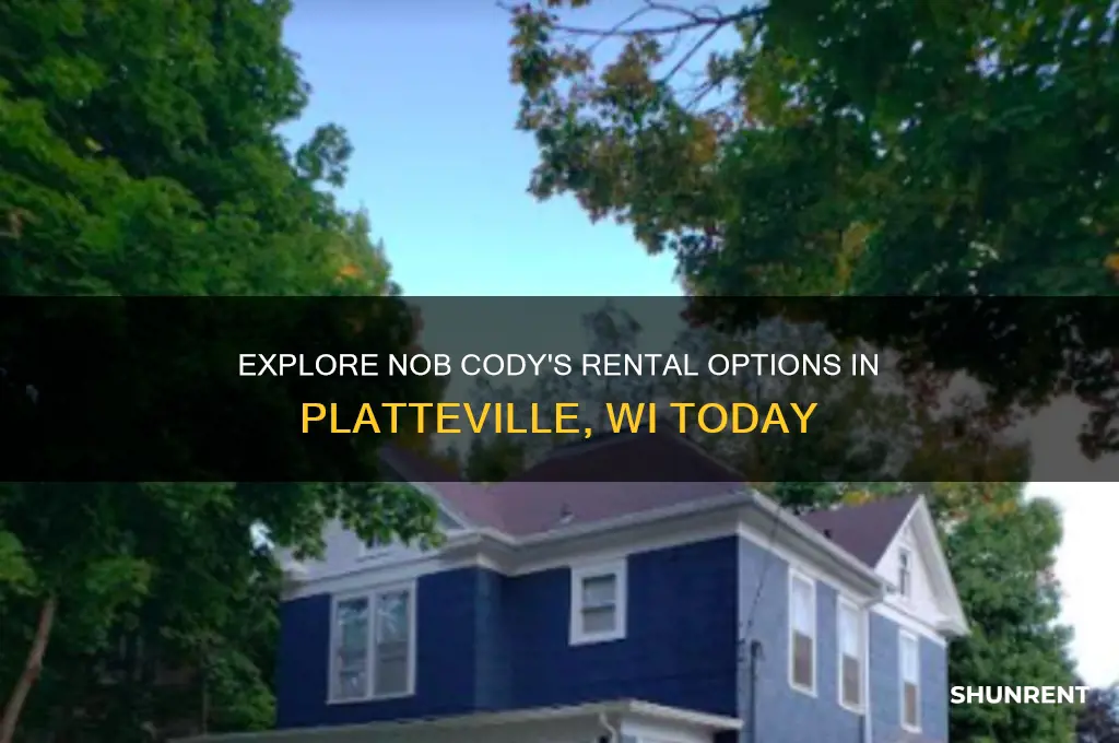 what does nob cody have to rent in platteville wi