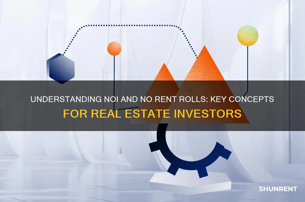 what does noi no rent rolls mean
