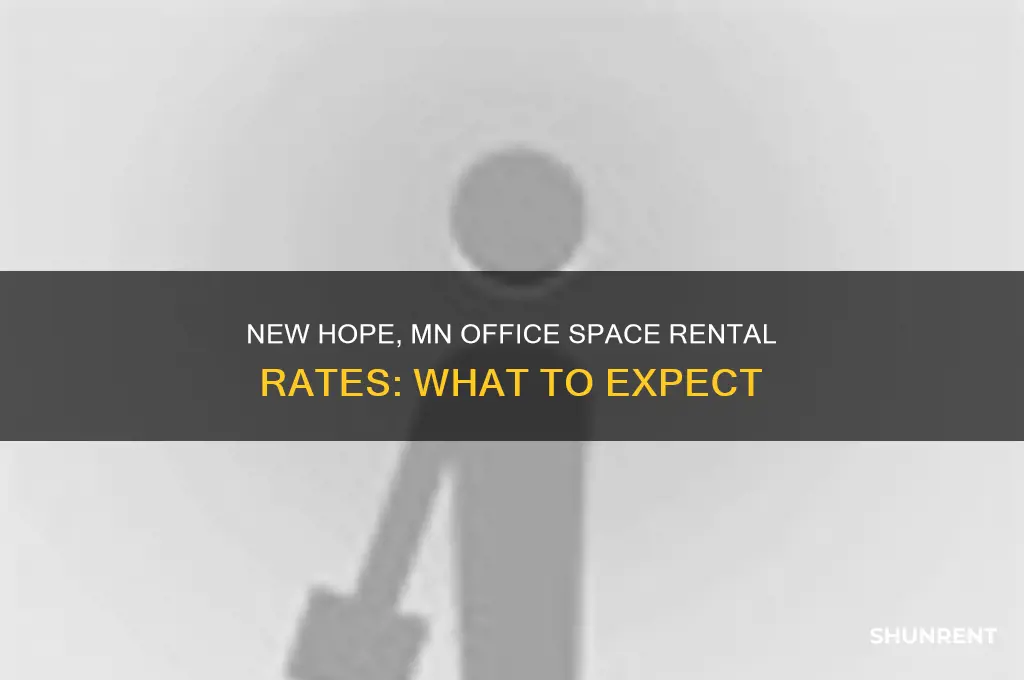 what does office space rent for in new hope mn