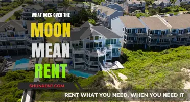 Over the Moon Meaning: Decoding the Phrase in Rental Contexts
