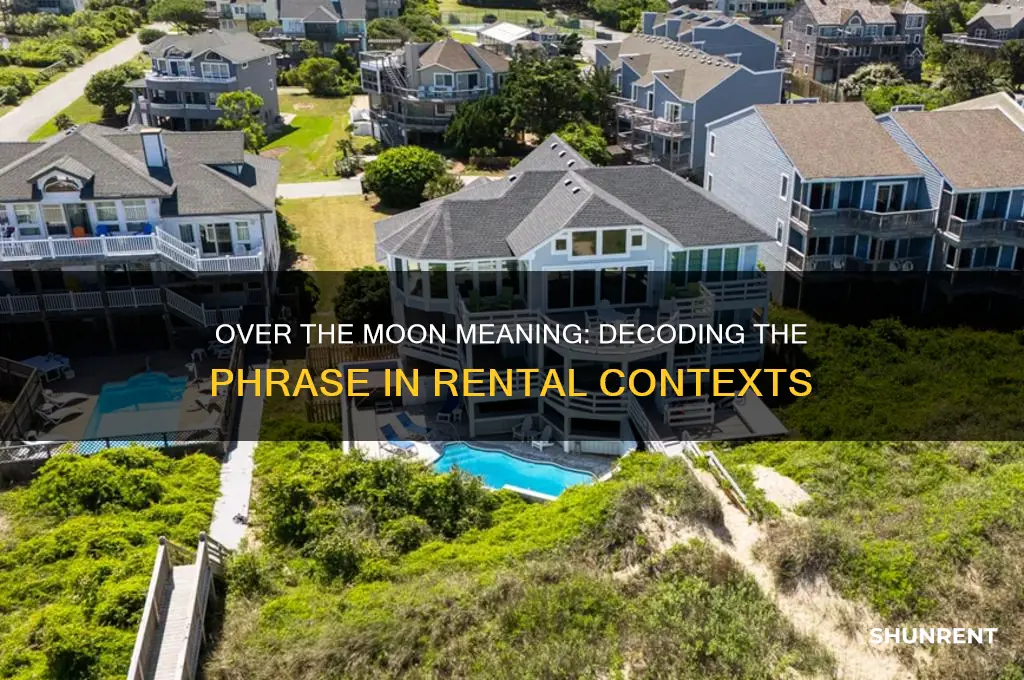 what does over the moon mean rent