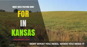 Kansas Pasture Rental Rates: Understanding Current Land Lease Costs