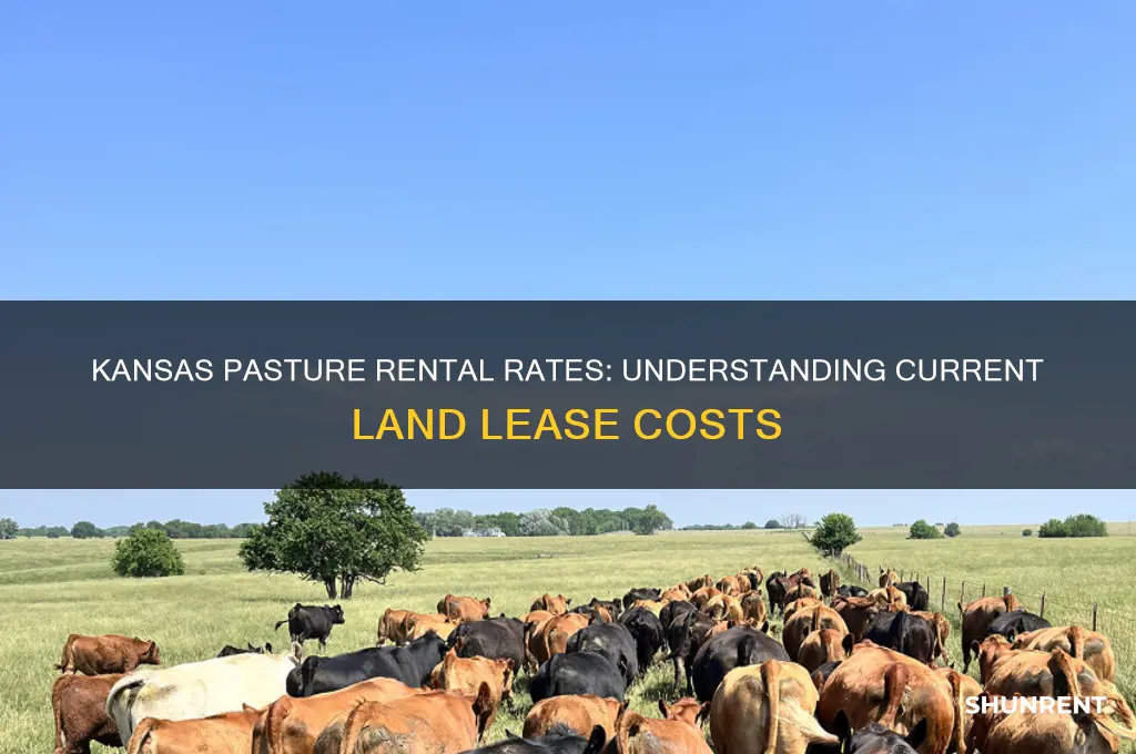 what does pasture rent for in kansas