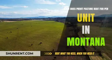Privit Pasture Rental Rates: Montana's Per-Unit Costs Explained