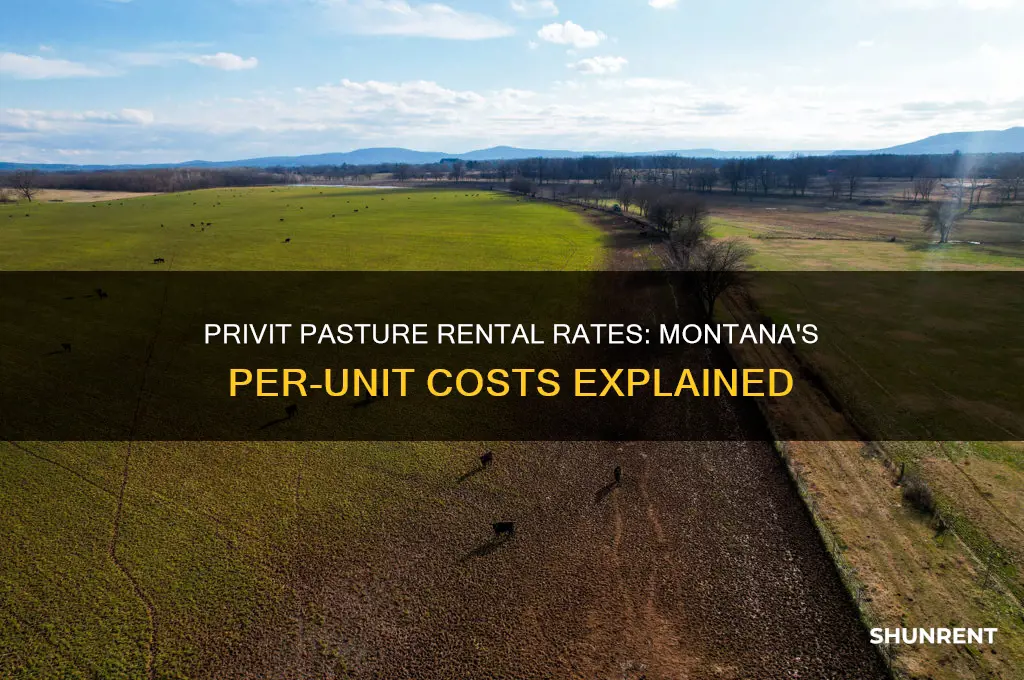 what does privit pasture rent for per unit in montana