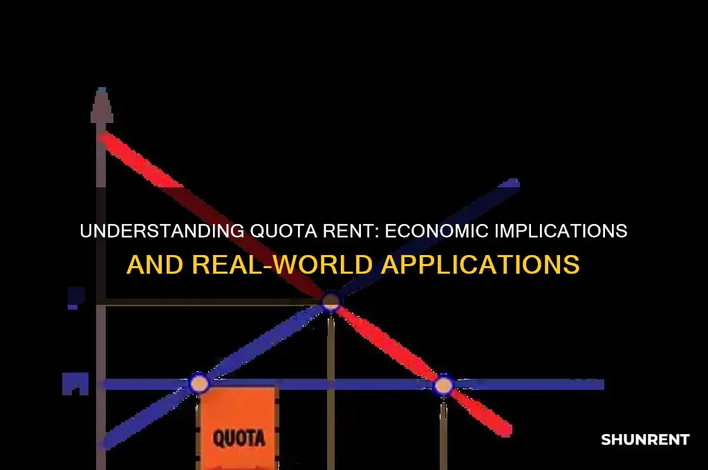 what does quota rent mean in economics