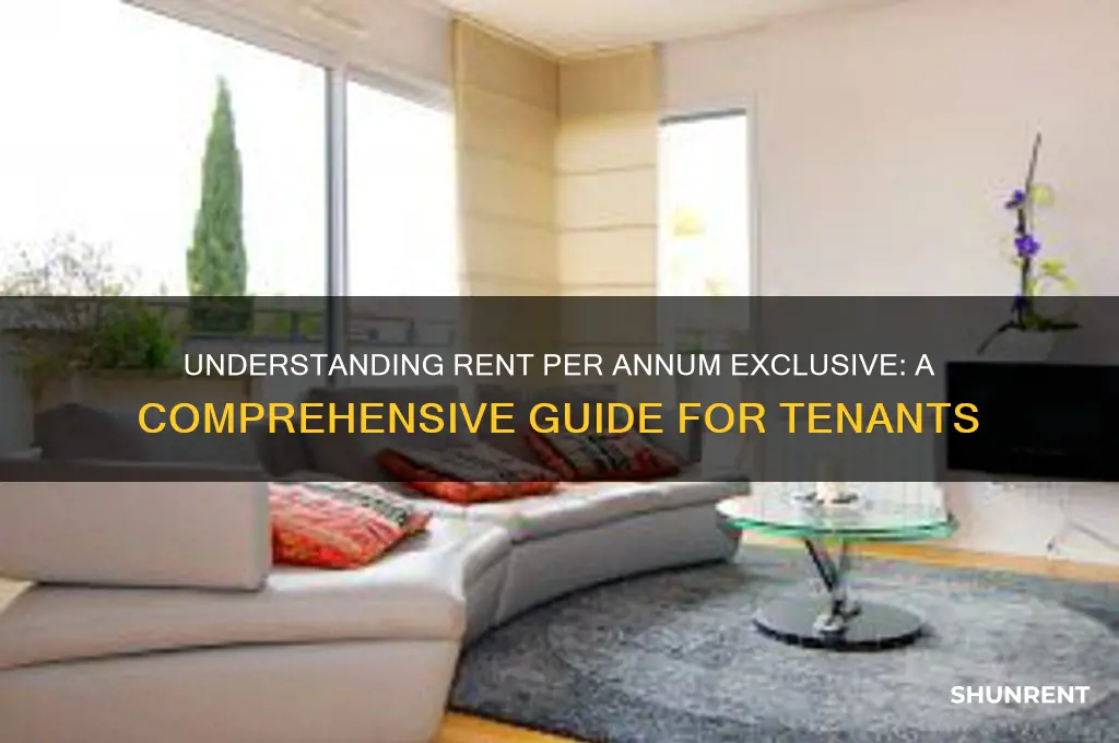 what does rent per annum exclusive mean
