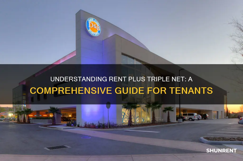 what does rent plus triple net mean