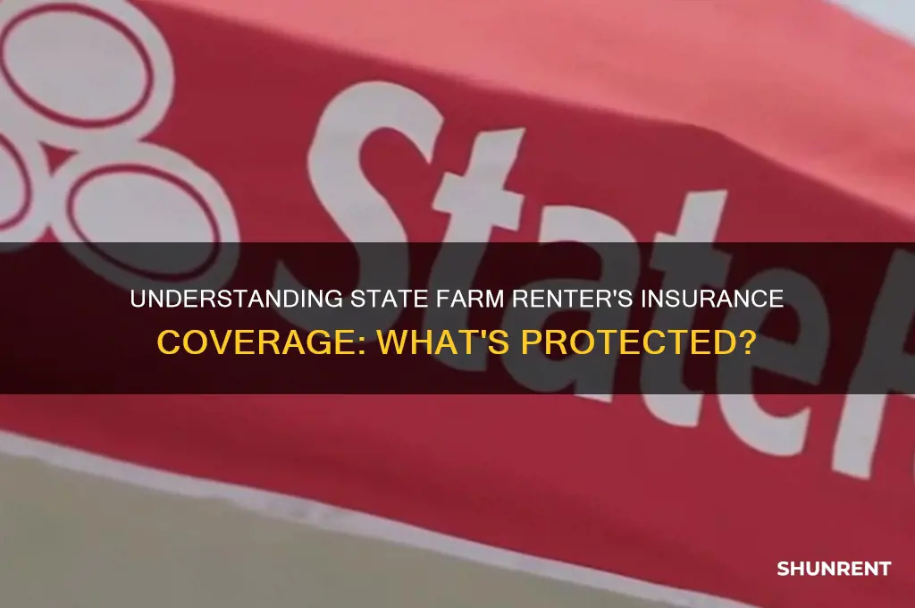 what does renter insurance cover state farm