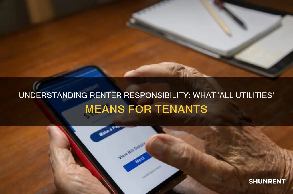 what does renter responsible for all utilities mean