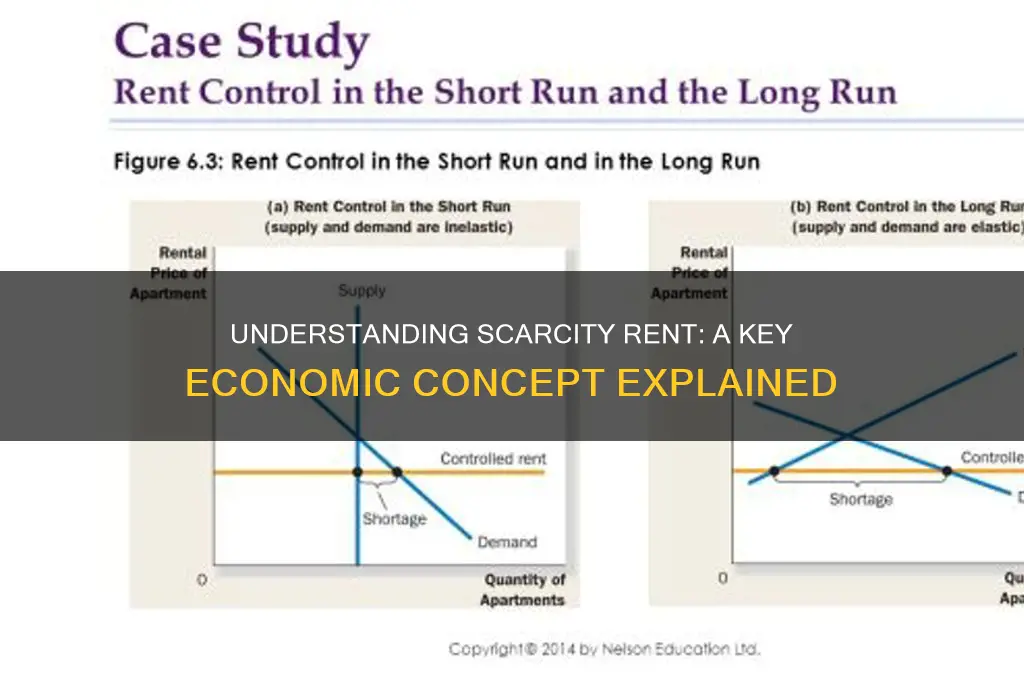 what does scarcity rent mean in economics